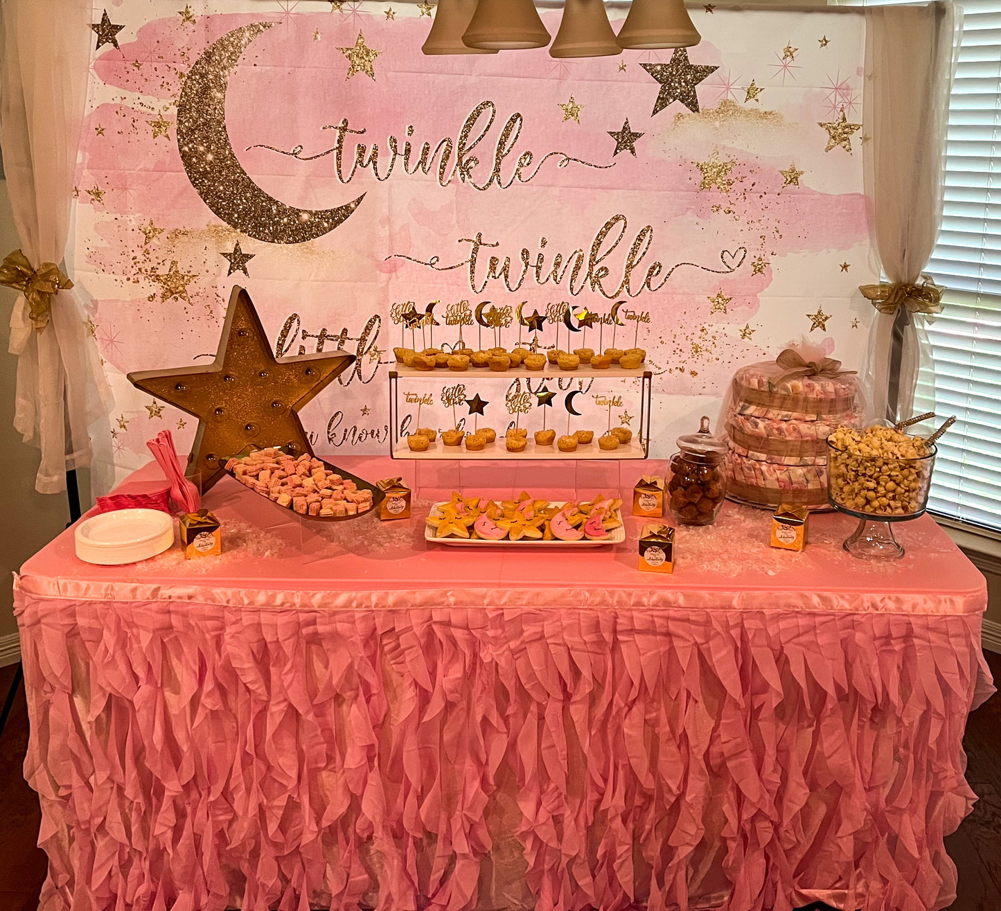 Twinkle Twinkle Vinyl Backdrop
