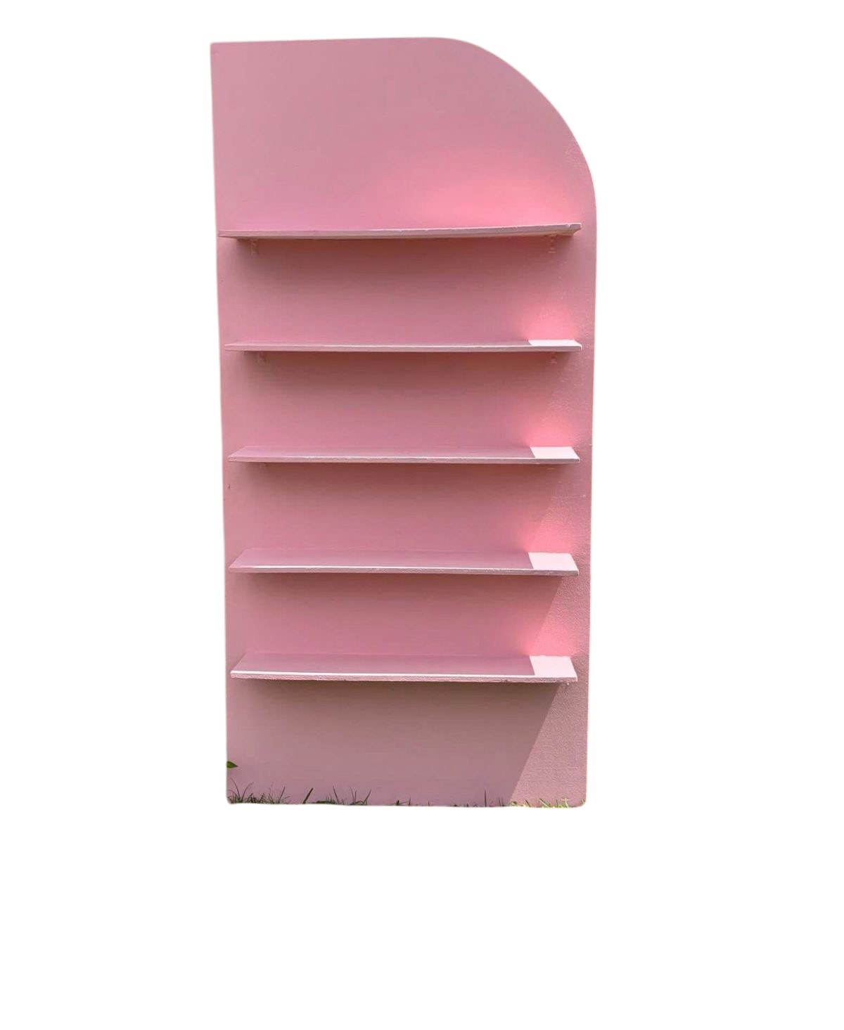 Pink Shelf Wall