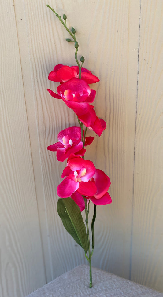 Orchid Stem