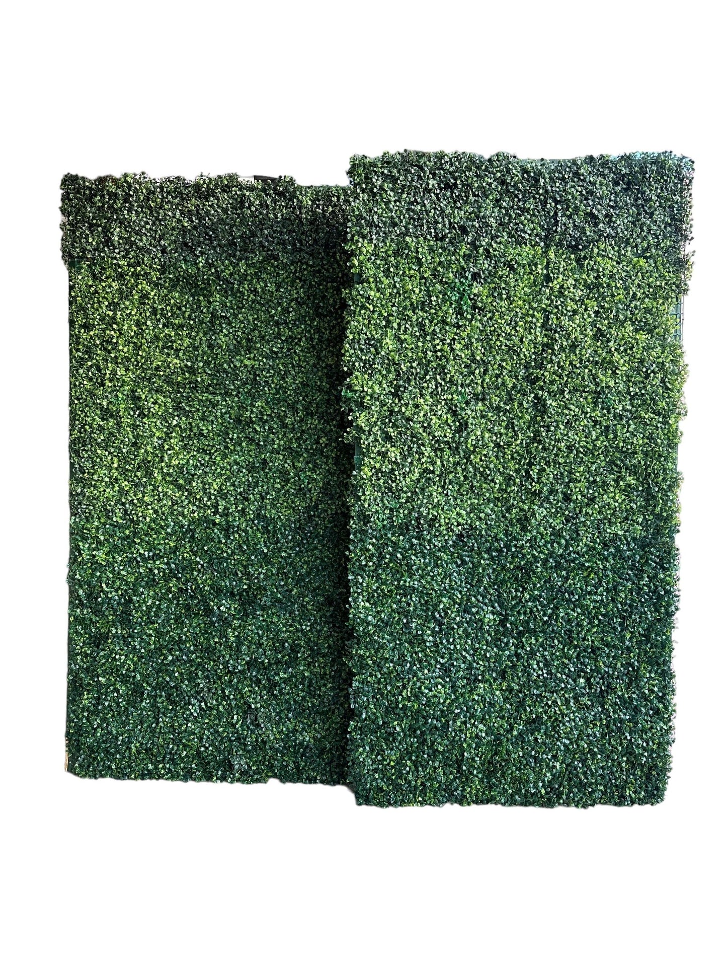 Grass Wall Backdrop